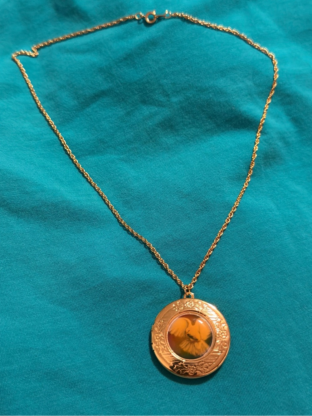 Gold toned Dove Locket pendant Necklace - Women's Jewelry